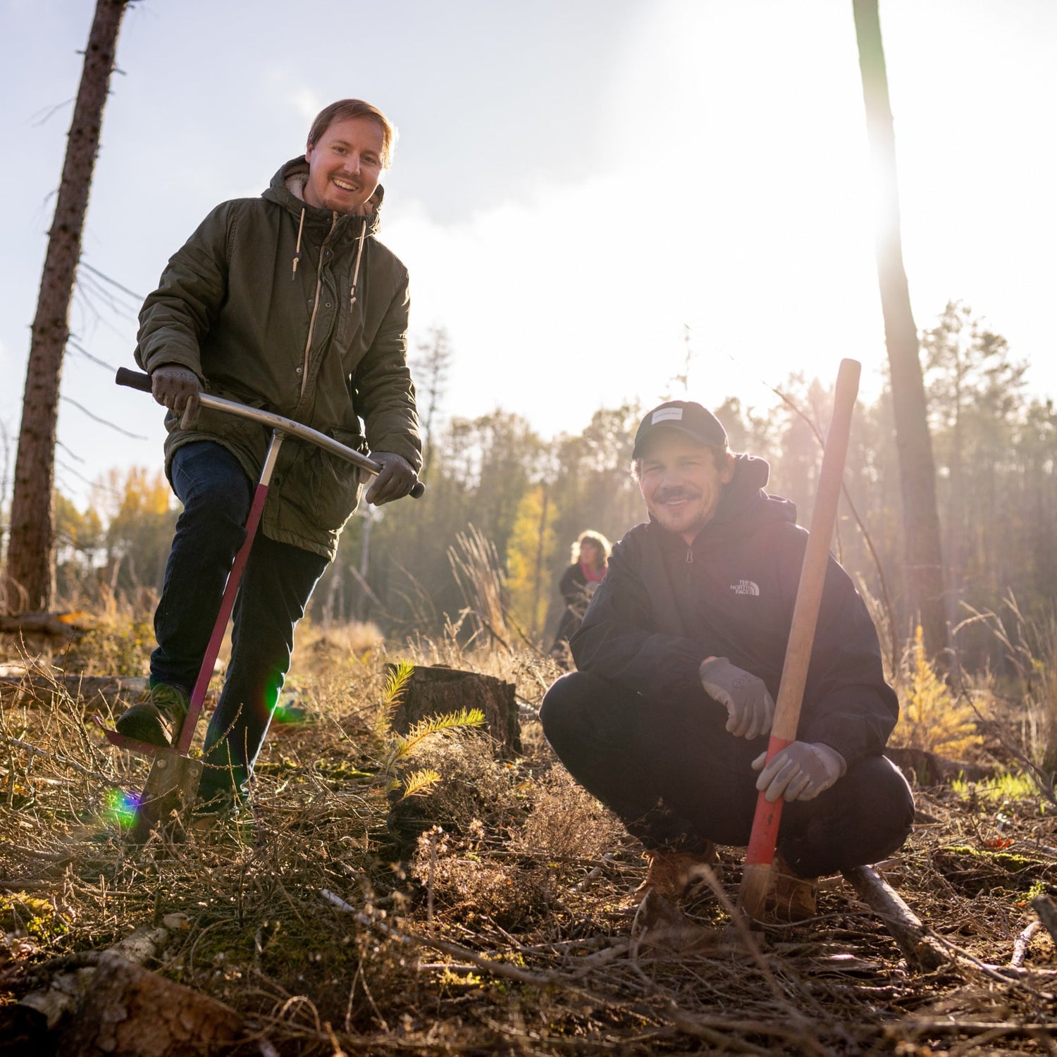 Das Innovative Förderprogramm für Waldbesitzer